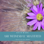 Ash Wednesday: Shattered
